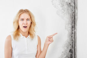 Comment limiter l'humidité dans la cave