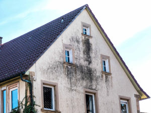 Traitement contre l'humidité de la façade.